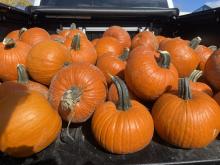 Kindergarten Field Trip