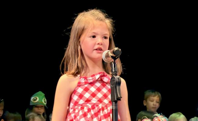 Music Concert