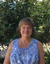 Profile picture for user doberto