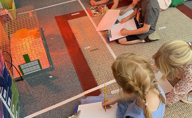 Duck studies in Kindergarten