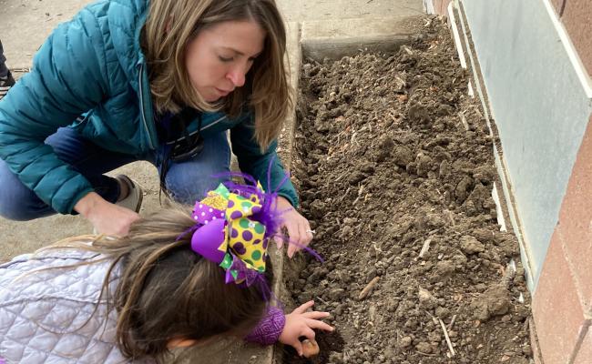 Planting bulbs